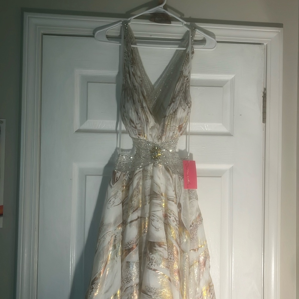 Dana mathers dress